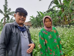 Peningkatan Skill Pada Kelompok Tani Cigombong Dlm Meningkatkan Ketahanan Pangan Di Era Pandemic Di Sukabumi