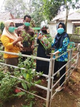 MATOGASI” Manajemen Tanaman Obat Keluarga Hipertensi sebagai pengontrol Kesehatan masyarakat wilayah Kelurahan Baros, Kabupaten Serang, Banten.