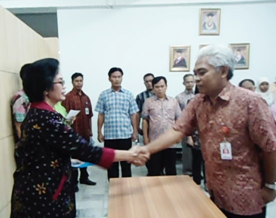 cats11.jpg cats11.jpg