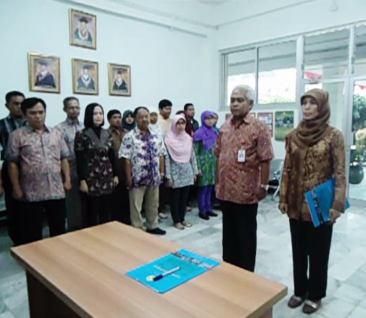 cats14.jpg cats14.jpg