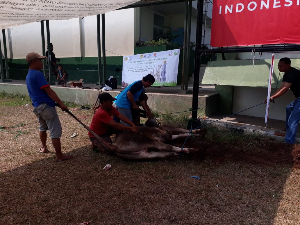 WhatsApp_Image_2018-08-23_at_11.29.54_AM.jpeg WhatsApp_Image_2018-08-23_at_11.29.54_AM.jpeg