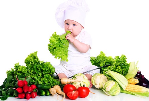 Nutrisi.jpg Nutrisi.jpg